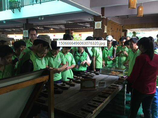 横沥康就中心与东莞市技师学院志愿者到茶山圣心蛋糕博物馆参观学习